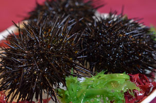 青森産天然生うに